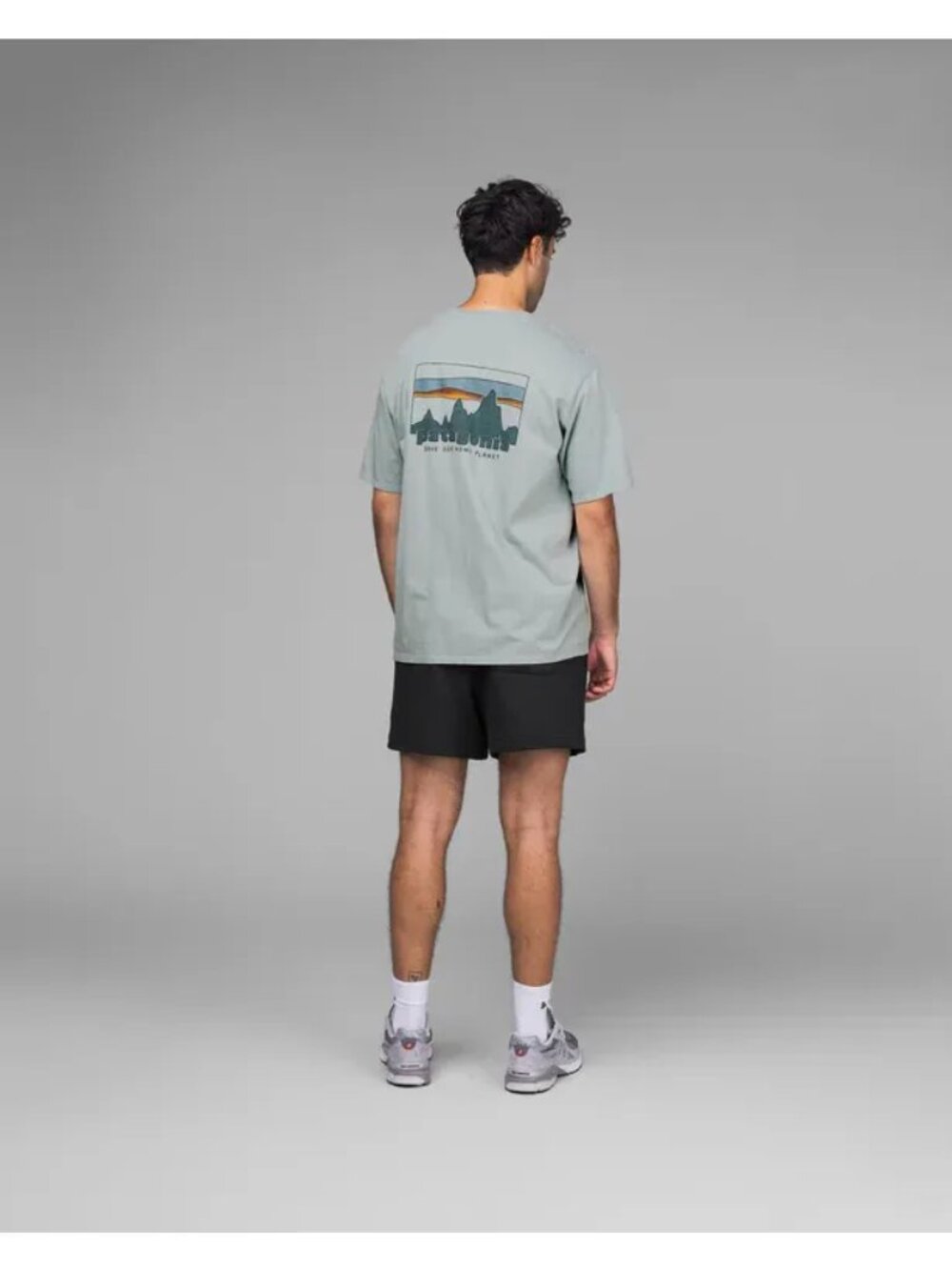 Patagonia Men's 73 Skyline Organic T-Shirt, Size Medium